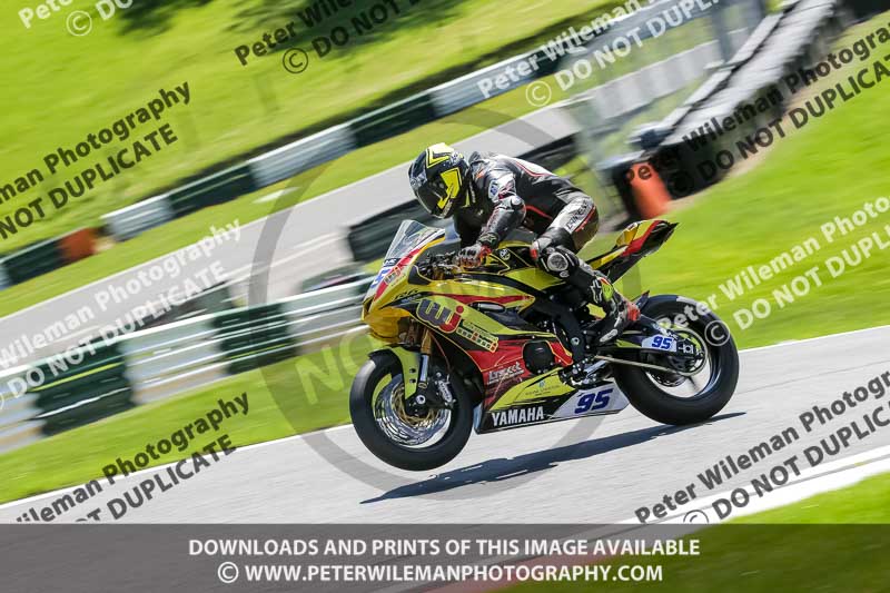 cadwell no limits trackday;cadwell park;cadwell park photographs;cadwell trackday photographs;enduro digital images;event digital images;eventdigitalimages;no limits trackdays;peter wileman photography;racing digital images;trackday digital images;trackday photos